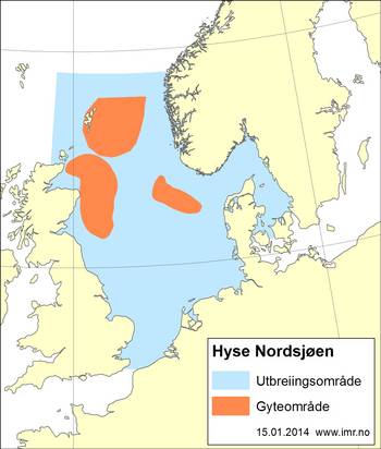 Kart som viser utbredelsen av Hyse (Kolje),