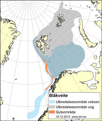 Kart som viser utbredelsen av Blåkveite